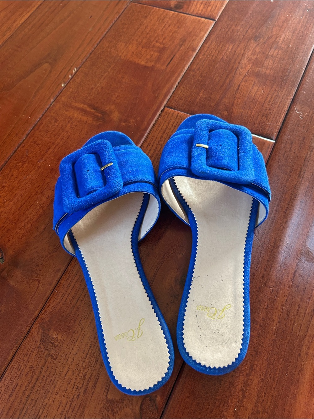 J. Crew Cobalt Blue Suede Buckle Slide Mules